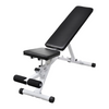 Workout Utility Bench