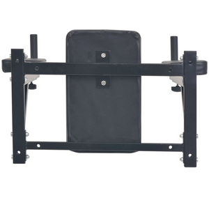 Wall-mounted Fitness Dip Station in Black