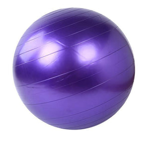 Home Exercise Fitness Ball