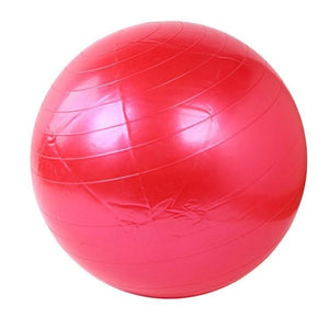 Home Exercise Fitness Ball